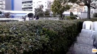 骚小姐视频成人- 高清在线观看
